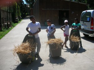 Travail à la ferme